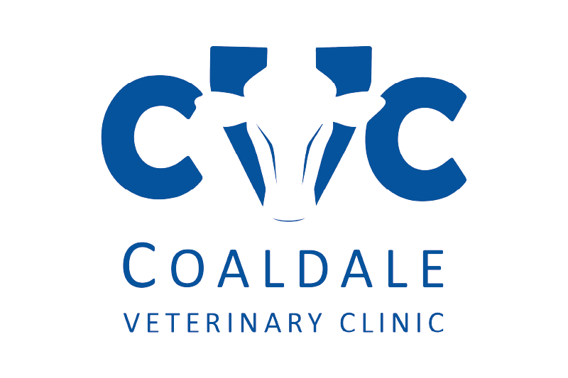 coaldale veterinary clinic logo